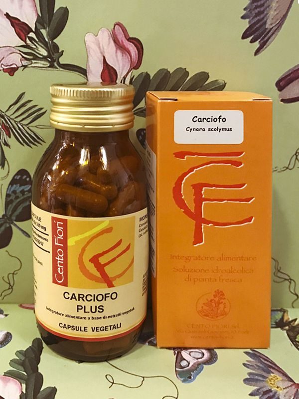 Carciofo