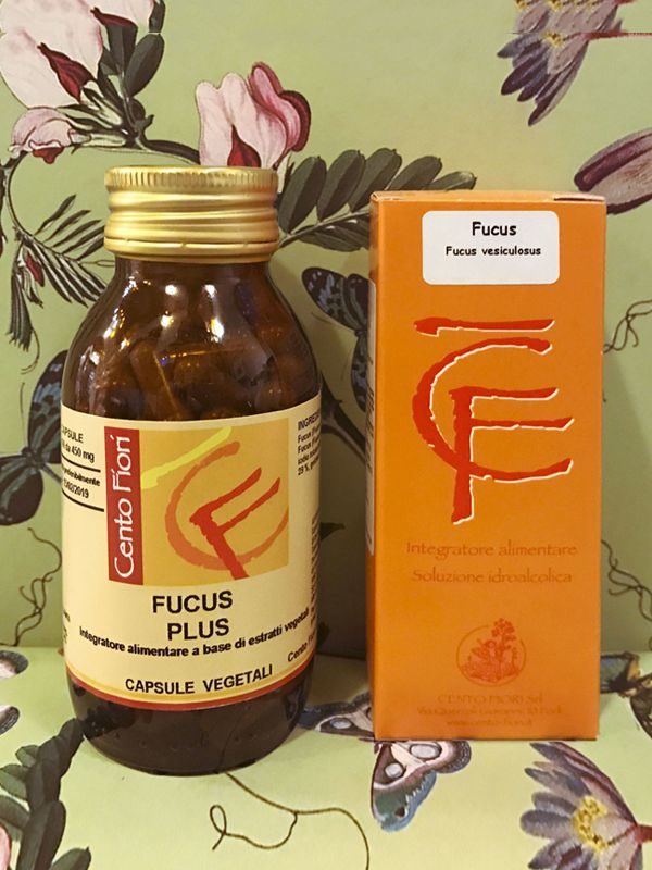 Fucus